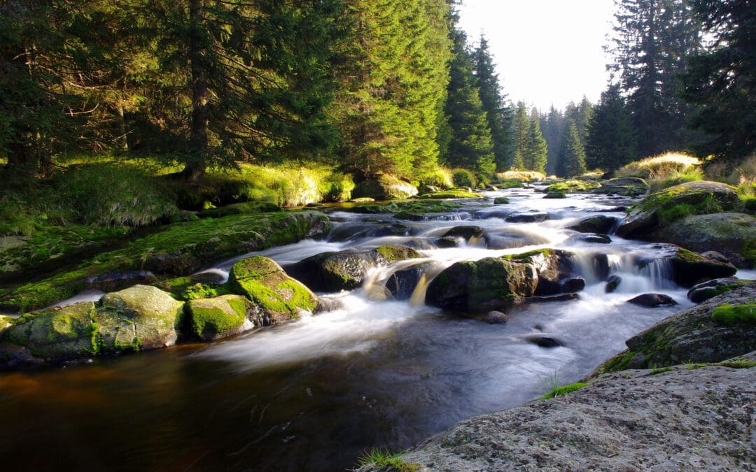 The Calming Effect of Water: Using Rivers and Lakes to Soothe Your Soul